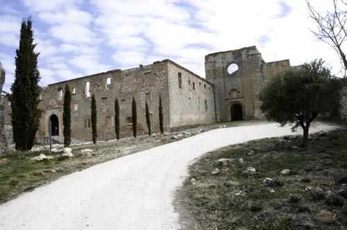 Camino de llaegada al monasterio de Monsalud